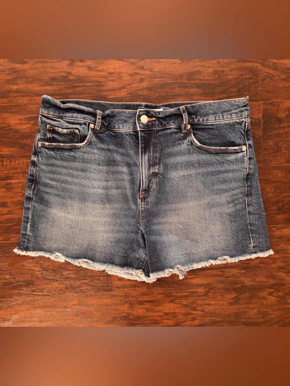 LOFT Size 12 Shorts